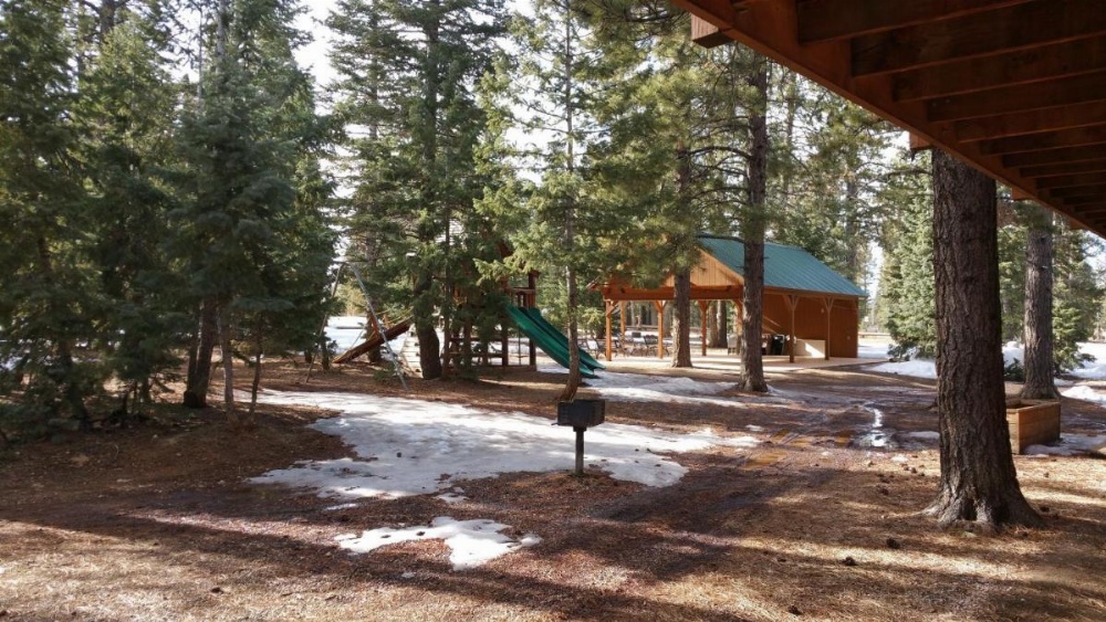 Pinewoods Resort and RV Park Main image